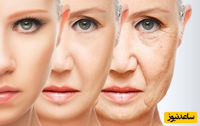 دیدن چروک در خواب چه تعبیری دارد؟ / تعبیر خواب چروک