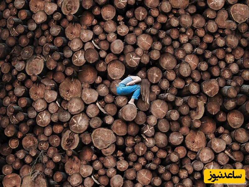 دیدن الوار در خواب چه تعبیری دارد؟ / تعبیر خواب الوار