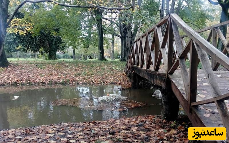 باغ گیاه شناسی نوشهر 