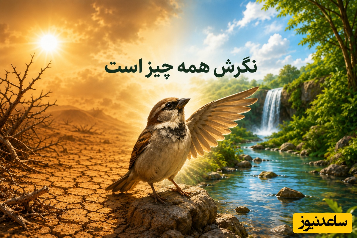 (ویدیو) داستان تکان‌دهنده «پرنده شاکر»؛ رازی که زندگی شما را زیر و رو می‌کند! / چطور با تغییر ذهنیت، بیابان را به گلستان تبدیل کنیم؟