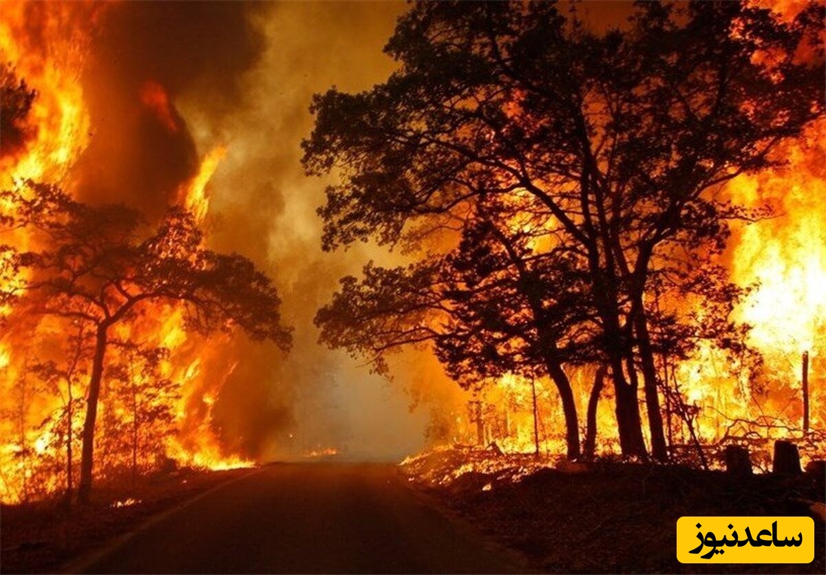 آتش‌سوزی سه‌روزه جنگل‌های قره‌داغ / نبود نیروی امدادی نگرانی‌ها را دوچندان کرد +ویدئو