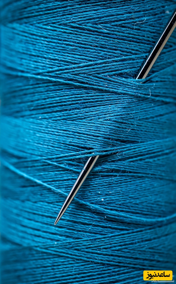 دیدن بادریسه در خواب چه تعبیری دارد؟ / تعبیر خواب بادریسه