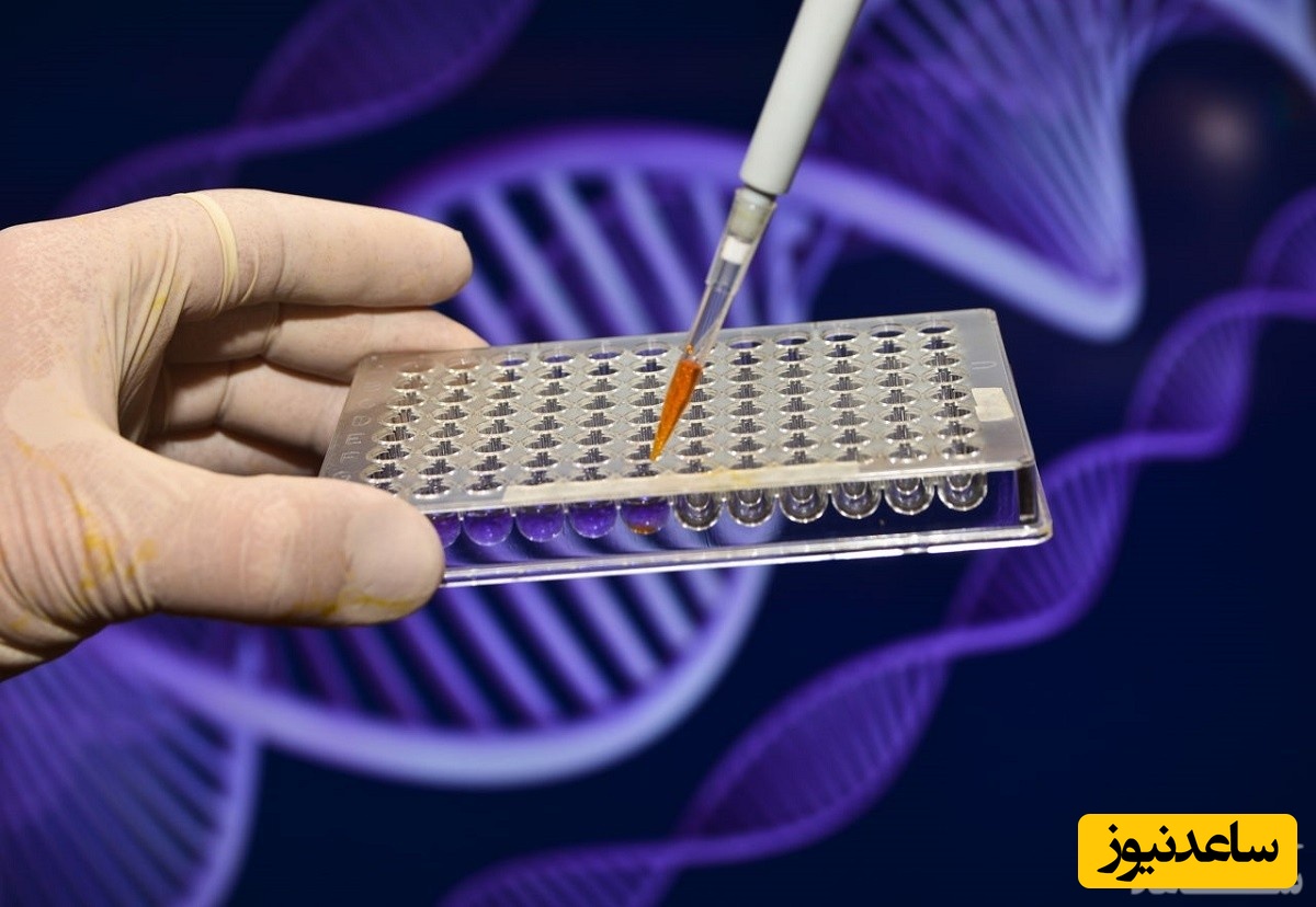 آزمایش سلول های بنیادی