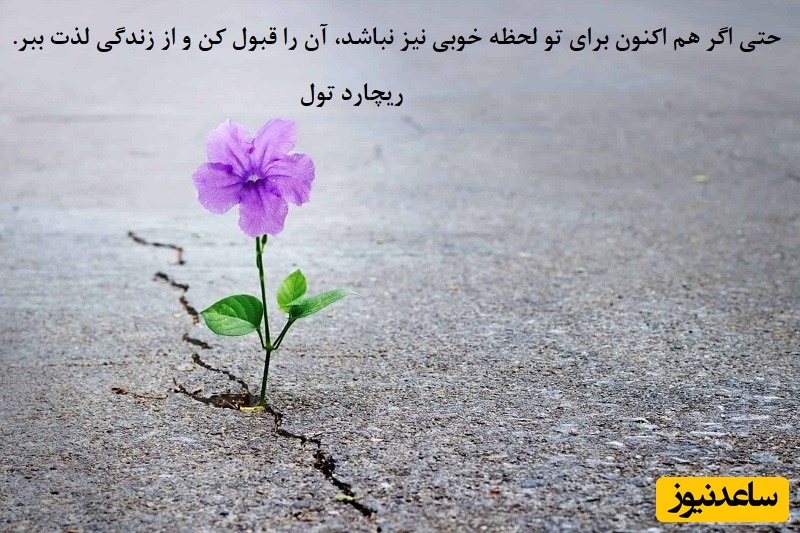 پیام امروز کائنات برای تو؛ گاهی باید اجازه بدی زمان، زخم‌هات رو ترمیم کنه. اما در همین زمان، یادت نره که آینده‌ای منتظرته که می‌تونه خیلی بهتر از گذشته‌ت باشه...+ ویدیو