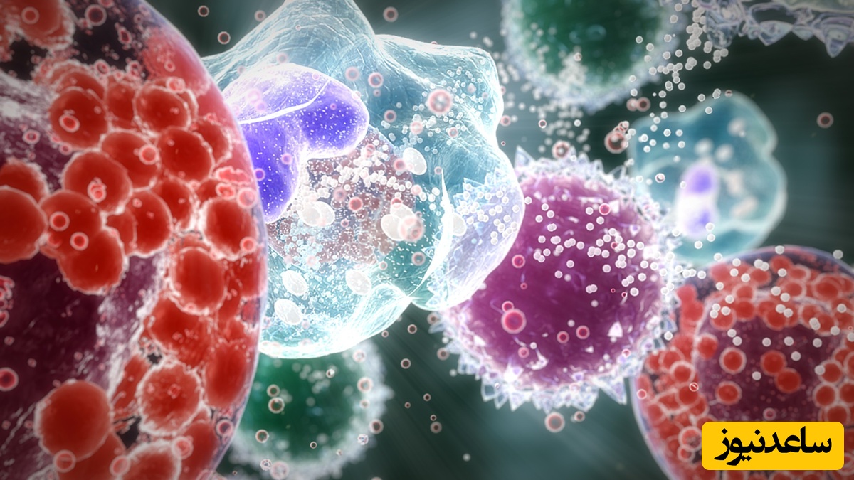 نمونه کارنامه و ظرفیت پذیرش رشته ایمنی شناسی در مقطع کارشناسی ارشد