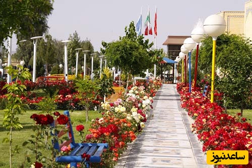 دانشگاه سیستان و بلوچستان