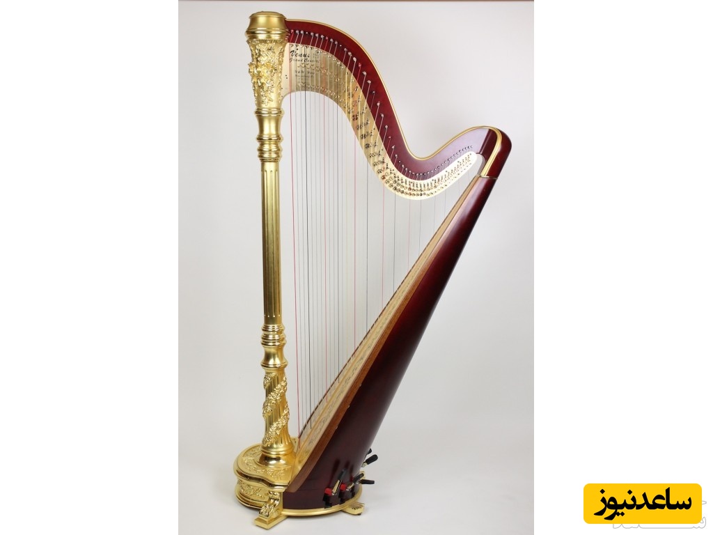 دیدن چنگ زدن در خواب چه تعبیری دارد؟ / تعبیر خواب چنگ زدن