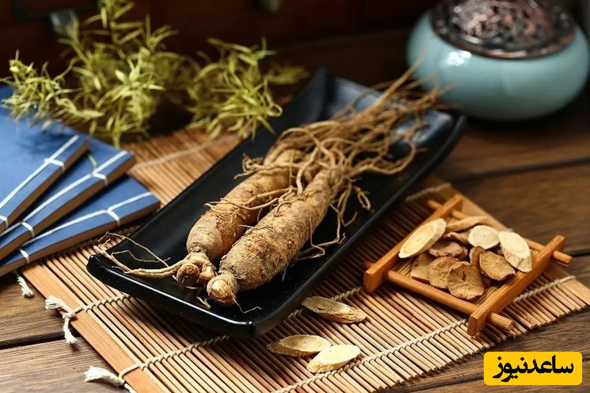جینسینگ: گیاهی برای افزایش انرژی و میل جنسی