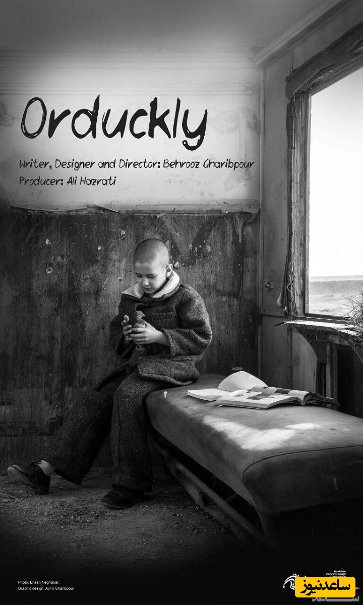 معرفی فیلم اردک لی