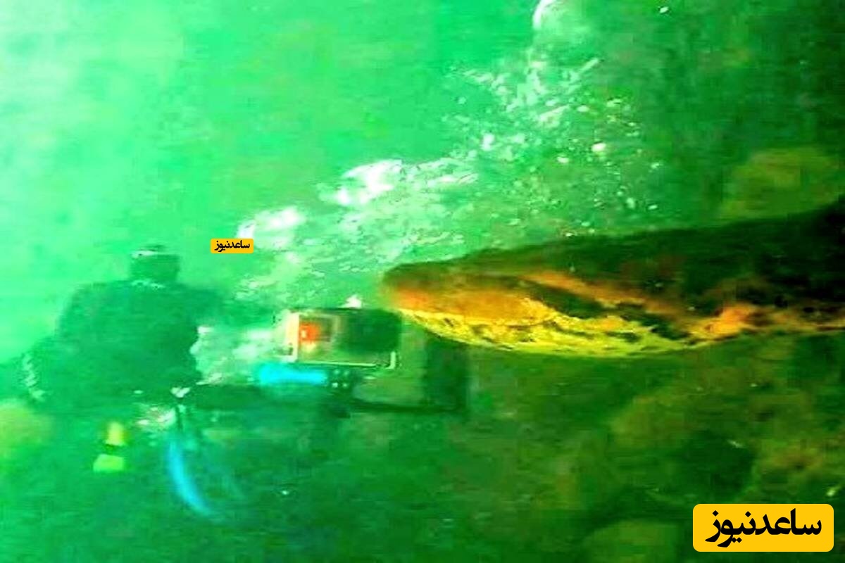 (فیلم)کشف ترسناک ترین مار جهان با لقب هیولای آمازون در اعماق قیانوس