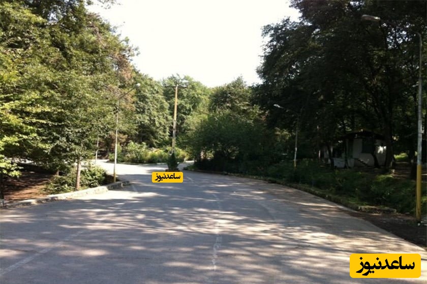 پارک جنگلی شهید زارع