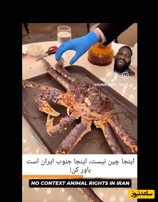 ویدیو باورنکردنی و دلخراش زنده زنده کباب کردن خرچنگها روی زغال در یک رستوران قشم