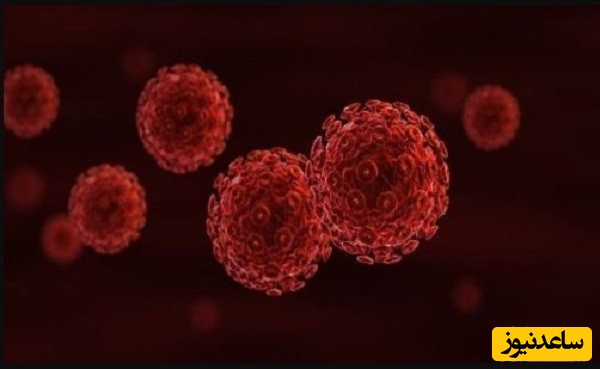 منابع دروس آزمون رشته زیست شناسی - ژنتیک ملکولی و ضرایب آن در مقطع دکتری