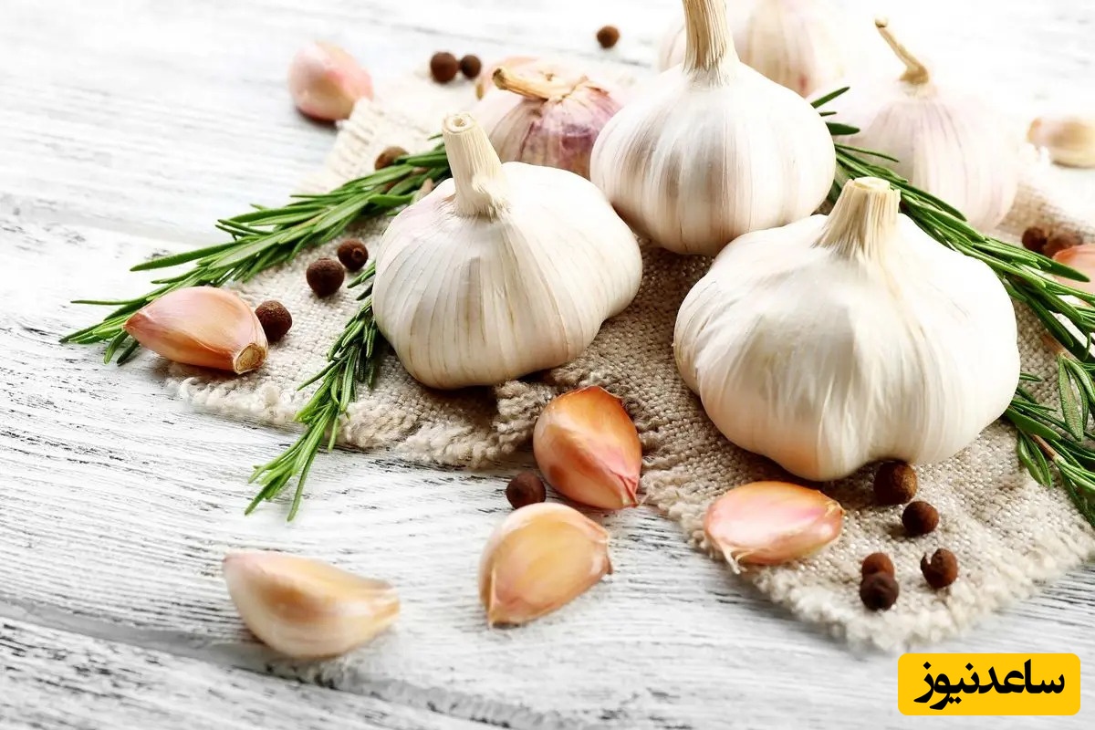 (ویدیو) فواید شگفت‌انگیز و معجزه‌آسای سیر که بدن شما رو بیمه می‌کنه/ حاضرین به خاطر قوی‌ترین خواص بوی تند رو تحمل کنین؟