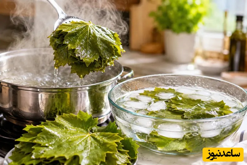 قرار دادن برگ مو در آب جوش