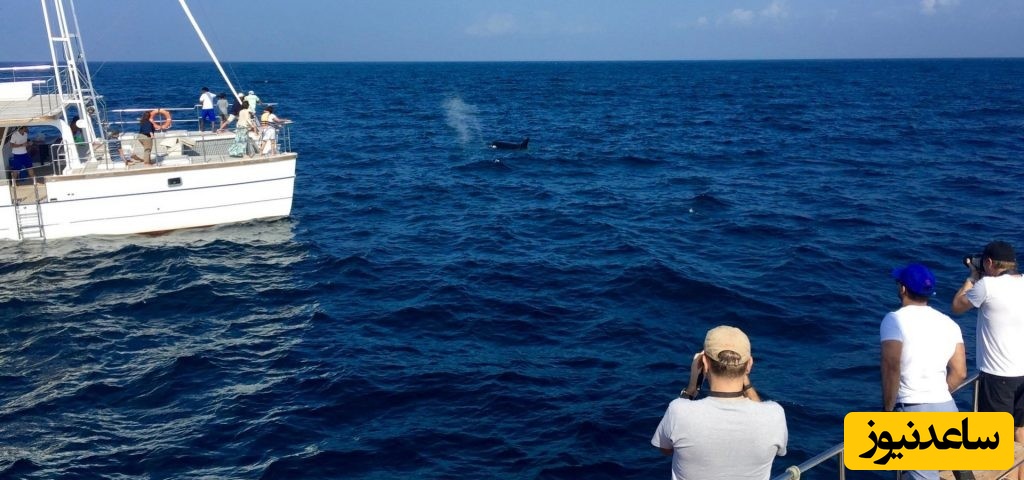 منابع و دروس رشته اقیانوس شناسی فیزیکی و ضرایب آن در مقطع کارشناسی ارشد