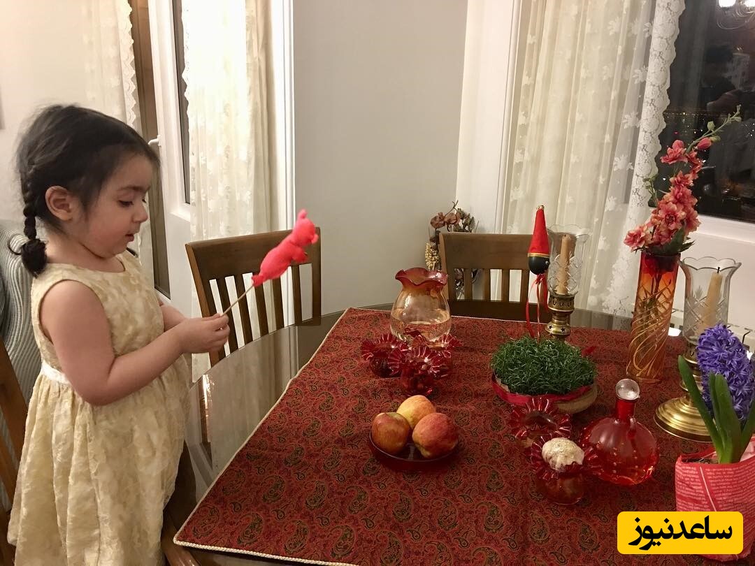 منزل نسرین نصرتی