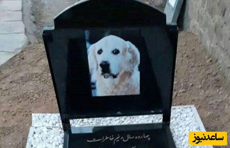 ماجرای جنجالی مراسم خاکسپاری یک سگ در مسجد!