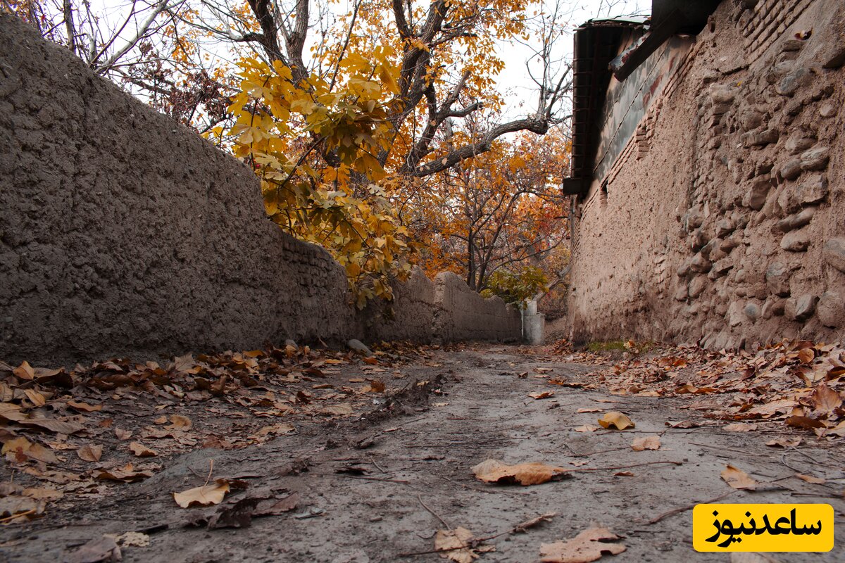 کوچه باغ کن