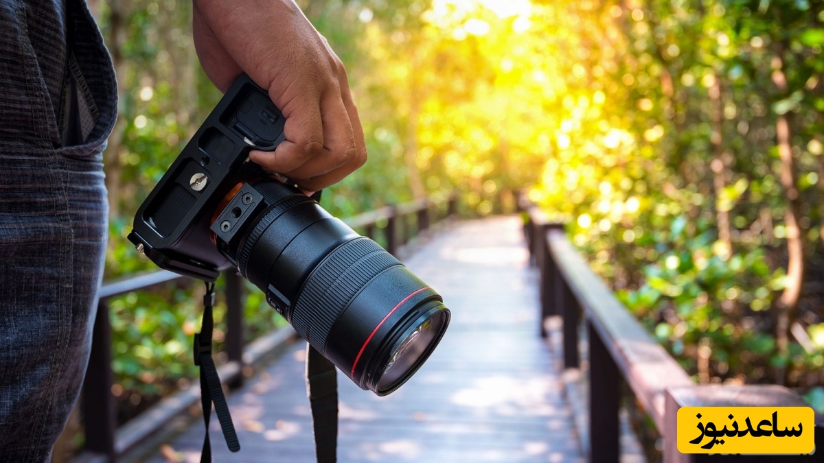 نگاهی به ژست جالب یک میمون و فرزندش به همراه بچه‌آهو مقابل دوربین عکاس