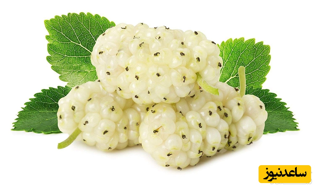 فواید و عوارض مصرف توت سفید در بارداری