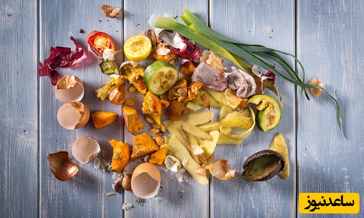 سردخانه زباله