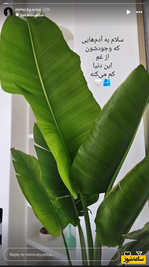 گوشه ای از دکوراسیون منزل بهرام رادان