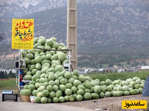 خلاقیت مشاغل؛ پاسخ غافلگیرکننده و دندان‌شکن هندوانه‌فروش باهوش در برابر گلایه مشتری ناراضی+ویدیو/ تو باید وکیل میشدی حیف این همه استعداد🤣