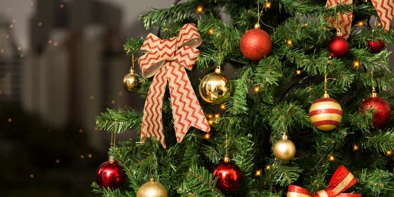 درخت کریسمس مناطق محروم به روایت تصویر؛ ابتکار خنده‌دار یک خانواده در ساخت درخت کریسمس با بطری خالی نوشابه در گوشه‌ خانه + عکس/ بنده خداها از کی داشتن بطری جمع میکردن😂