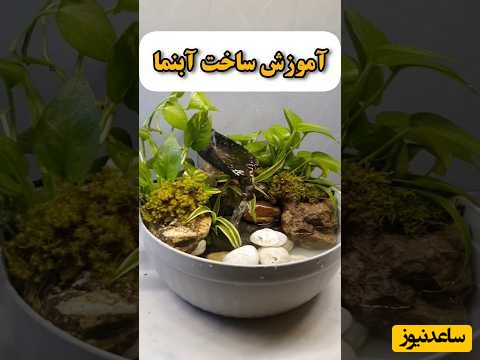 خلاقیت تحسین برانگیز برای ساخت آبنمای کوچک رومیزی؛ محاله ببینی و عاشقش نشی / با این ترفند جادویی جنگل را مهمان خانه های خود کنید + ویدئو