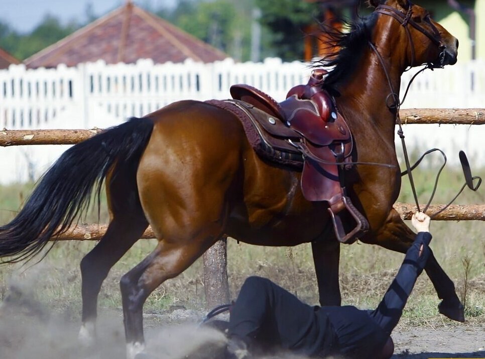 (ویدئو) برخورد شدید اسب سوار با تیر برق!/نه تنها اسب سوار خود اسب هم داغون شد!