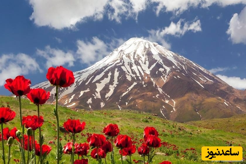 دشت لار دماوند؛ بهشت شقایق‌ها و یکی از زیباترین مقاصد طبیعت‌گردی ایران
