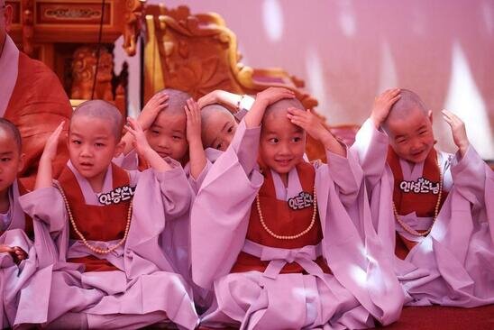 راهبان تازه کار در معبد جوگی در شهر سئول کره جنوبی، پس از تراشیدن سرشان در مراسمی برای جشن گرفتن روز تولد بودا شرکت کرده اند./ رویترز