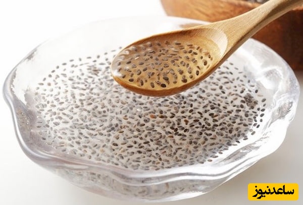 بارهنگ؛ معجزه طبیعت برای درمان سرفه و سلامت گوارش | خواص، مضرات و طرز استفاده