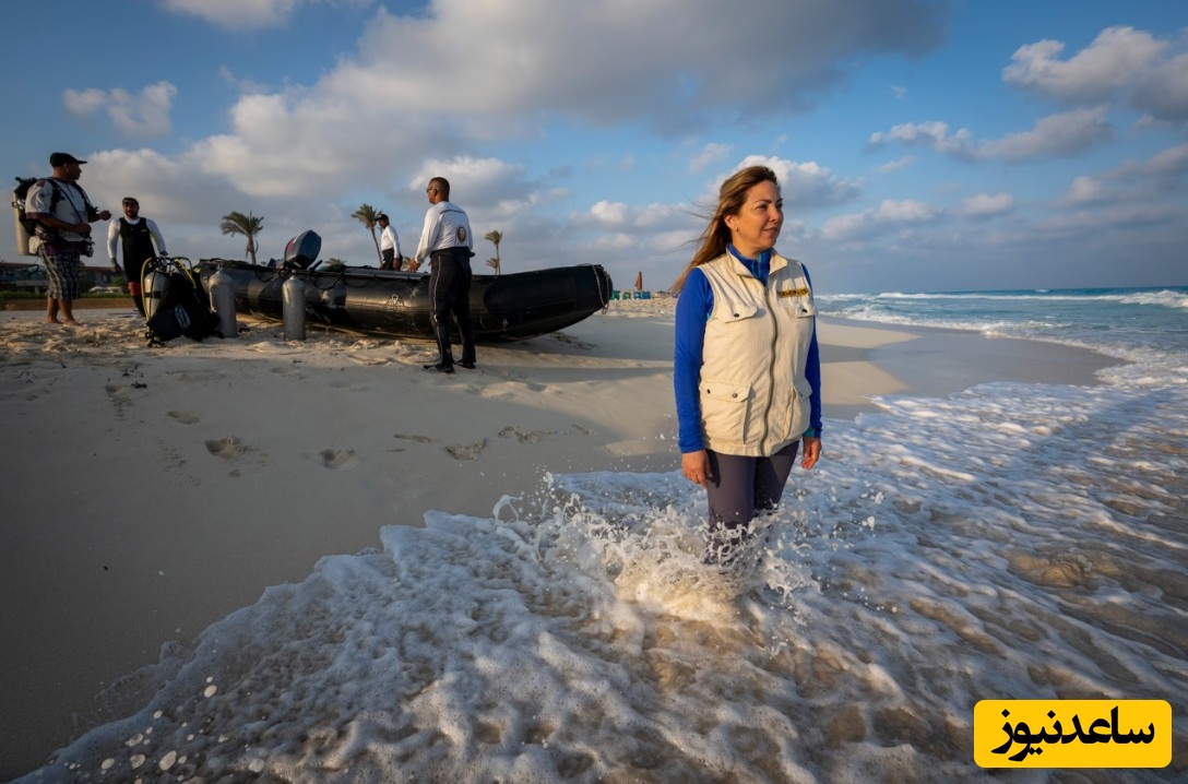 بررسی امواج