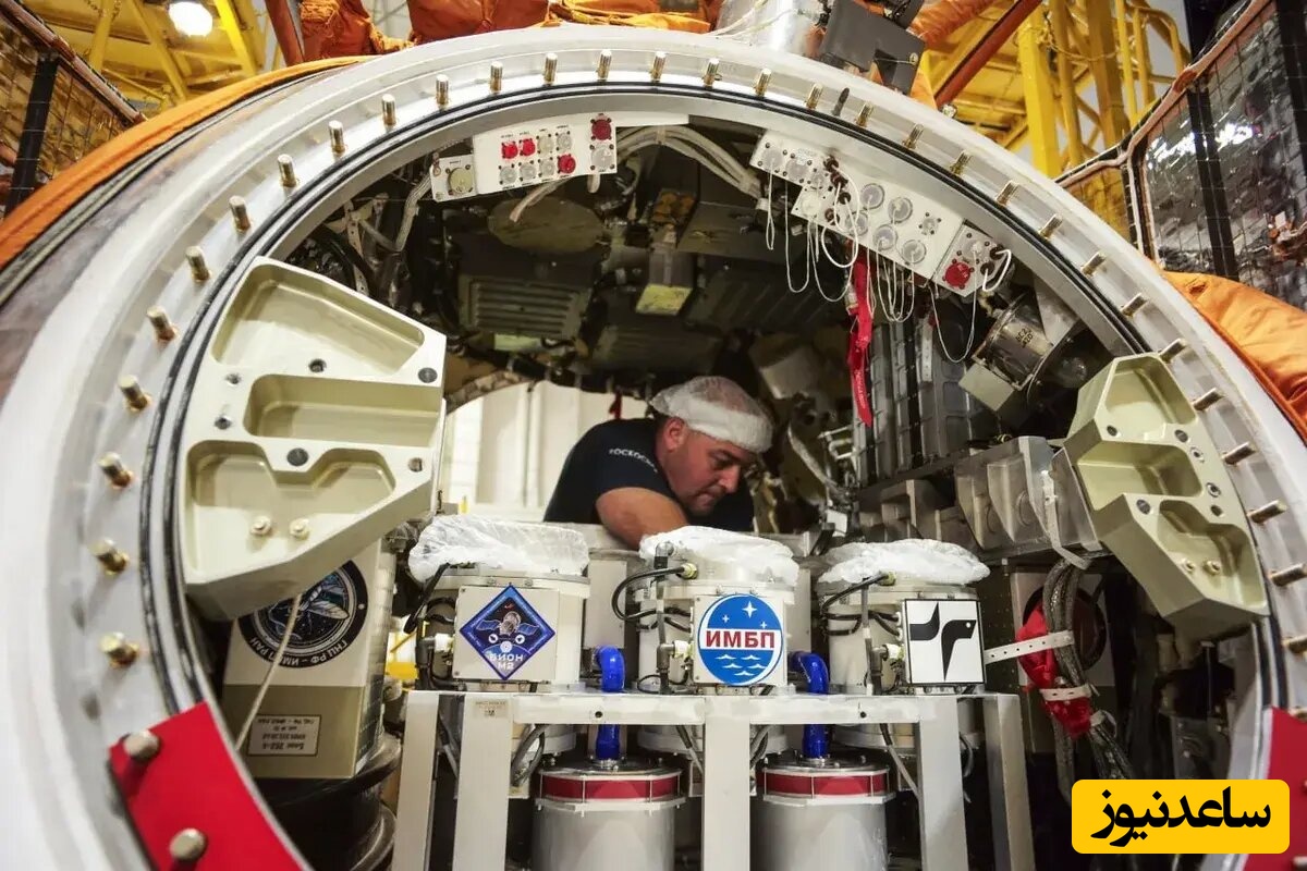 نمونه‌های برگردانده شده به زمین