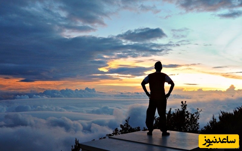 افراد بلند‌پرواز چه ویژگی ‌ها و خصوصیاتی دارند؟