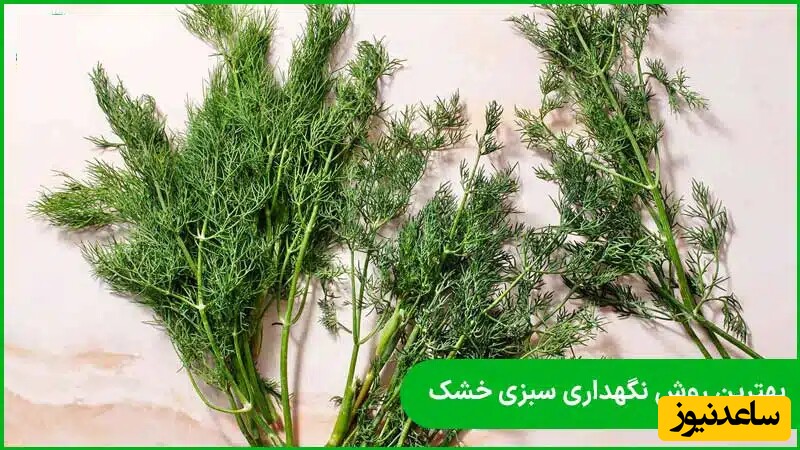 نکات خانه‌داری/ راهنمای افزایش ماندگاری سبزی خشک