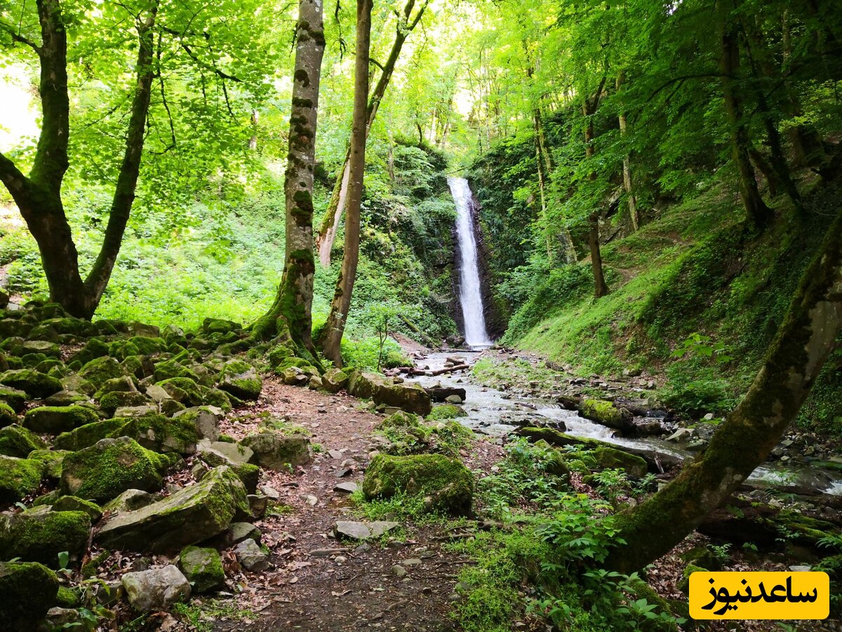 ویدیویی از زیبایی های سحرانگیز در اعماق جنگل های تالش "آبشار کج دریابن"