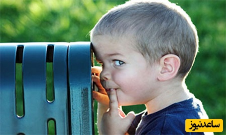 کوک شلوغ و پرانرژی