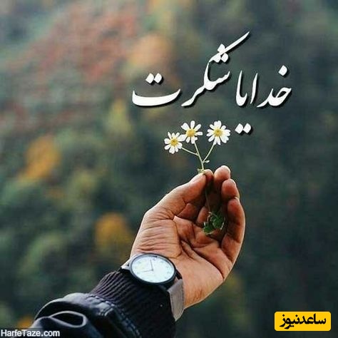 شکرگزاری صبحگاهی و تشکر از خداوند/ شکرت برای لحظه‌هایی که هنوز نیامده‌اند اما پر از امیدند. برای لبخندهایی که در راهند/ شکرگزاری امروز شنبه 8 فروردین 1405+ ویدئو