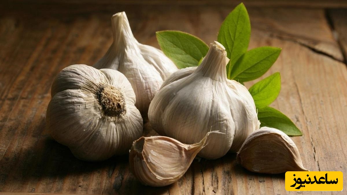 فواید و عوارض مصرف سیر در بارداری
