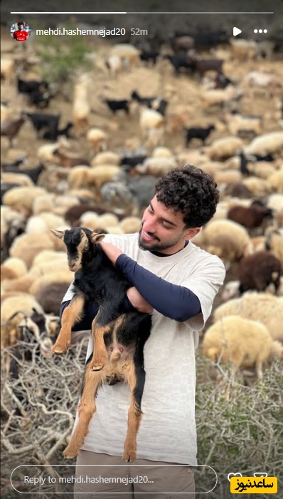 مهدی هاشم نژاد
