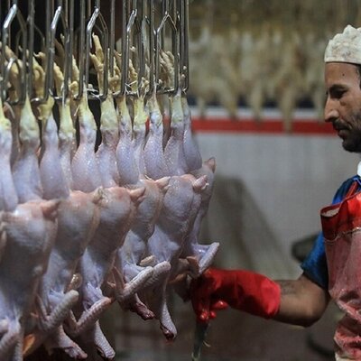 فروش گوشت مرغ قطعه بندی شده در مشهد مشروط شد