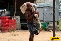 مردی برای برداشت 19 هزار و 300 روپیه از حساب خواهرش، اسکلت او را از خاک بیرون آورد و به بانک برد + ویدئو