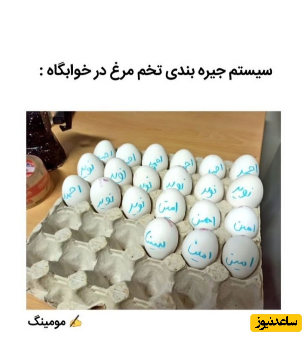 تخم‌مرغ