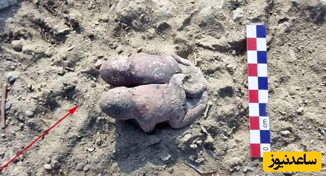 «قورباغه‌های به هم چسبیده» بعد از 3800 سال از زیر خاک بیرون آمدند