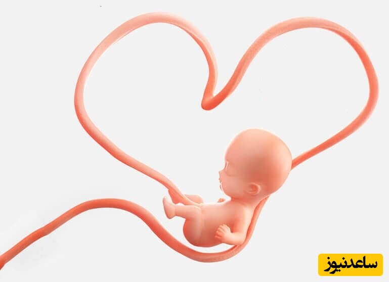 خون بند ناف نوزاد چه اهمیتی دارد؟