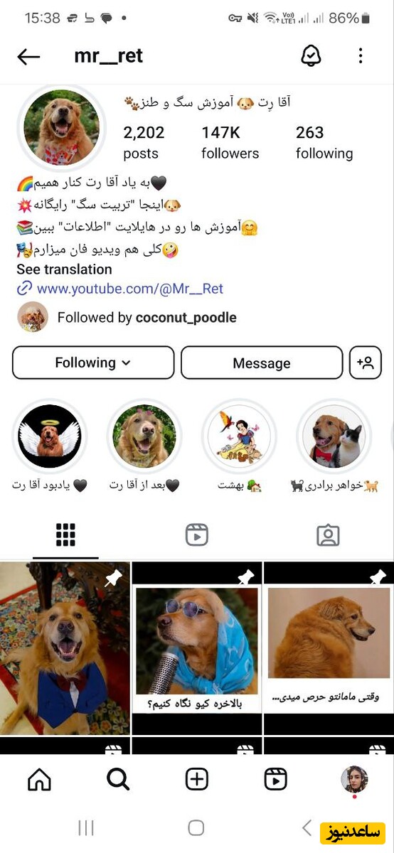 حیوانات بلاگر