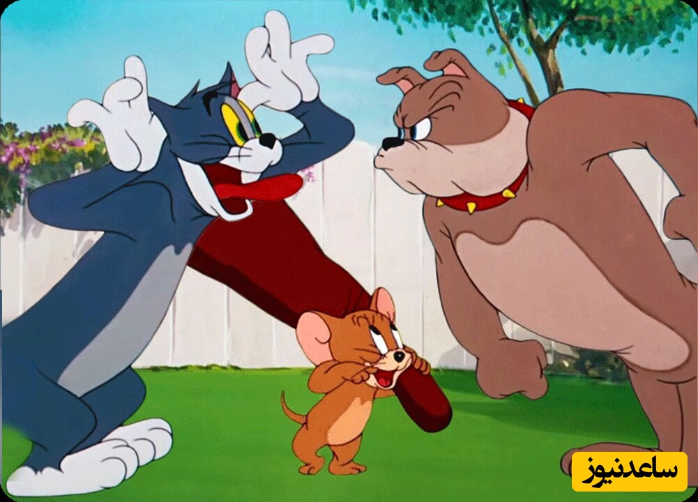 دانلود بهترین افکت صوتی صدای سگ برای ترساندن گربه با کیفیت بالا